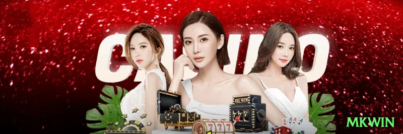 mkwin Premium Latest v5.4.0 Screenshot 2