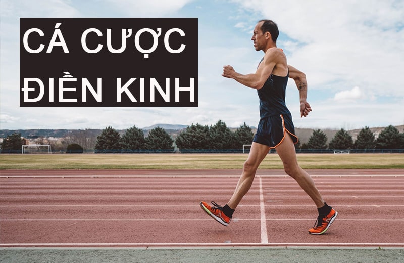 Khám phá thế giới cá cược điền kinh: Tìm hiểu kỹ hơn về cá môn điền kinh